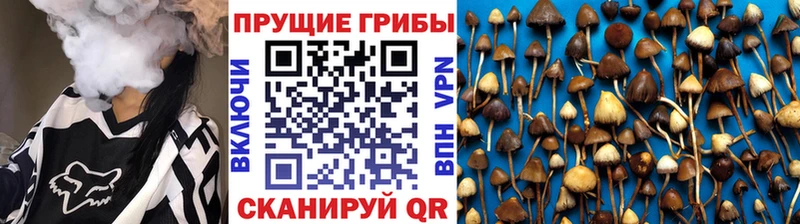 Галлюциногенные грибы Cubensis  мега маркетплейс  Солигалич 